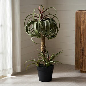 yő2000~N[|z tFCNO[ `WA LZOtBJ  83cm ϗtA O[ t[  A[eBtBVvc tFCNvc A  A[gO[