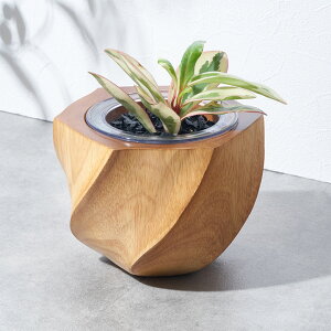 yő500~N[|z v^[Jo[ Ebhv^[Jo[ VR ؐ }S[Ebh Ebh 3 Ci[|bgt ꌊȂ  W 15cm D 15cm H 12cm i` Jo[ v^