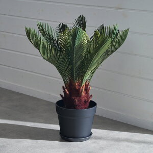 yő500~N[|z tFCNO[ \ec  47cm ϗtA O[ A[eBtBVvc tFCNvc lHϗtA  A[gO[ fBXvC IuWF i`