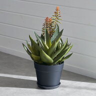 フェイクグリーン アロエ 高さ 42cm 観葉植物 グリーン フラワー 花 アーティフィシャルプランツ フェイ…
