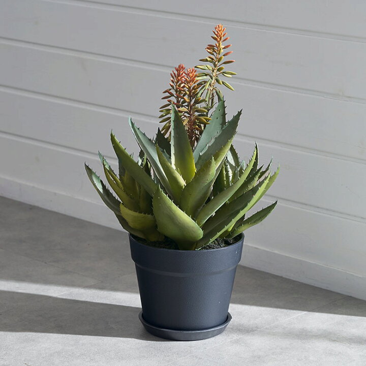 楽天市場】フェイクグリーン アロエ 高さ 42cm 観葉植物 グリーン 