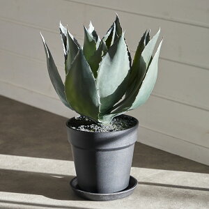 yő2000~N[|z tFCNO[ AKx  W 25cm D 25cm H 32cm ϗtA O[ 32cm E[c tFCNvc |bgt  A[gO[ fBXvC  {