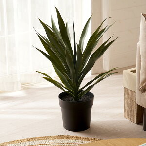 yő2000~N[|z tFCNO[ AKx  70cm ϗtA O[ t[  A[eBtBVvc tFCNvc A  A[gO[ fBXvC i`