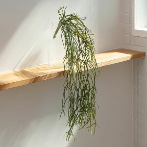 tFCNO[ vTX  60cm ϗtA O[ t[  A[eBtBVvc tFCNvc A [t  A[gO[ fBXvC i` nM