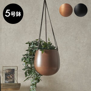 nMO|bg v^[Jo[ nMOv^[ Jo[  W 18cm D 18cm H 19cm  ݂艺 Ǌ| ϗtA O[ t[  A fR[V fBXvC r