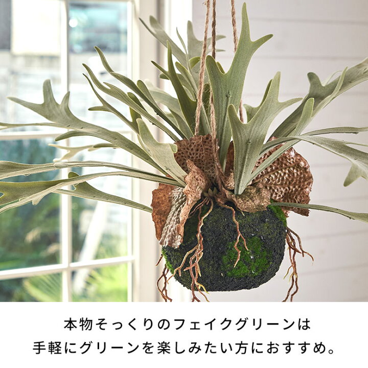楽天市場】【最大500円オフクーポン配布中！】 フェイクグリーン 吊り 