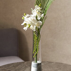 yő500~N[|z Ӓ  tFCNt[ A[eBtBVt[ }t A[gt[ t@mvVX ϗtA 30cm lH ϗt A tFCN  lHϗtA t