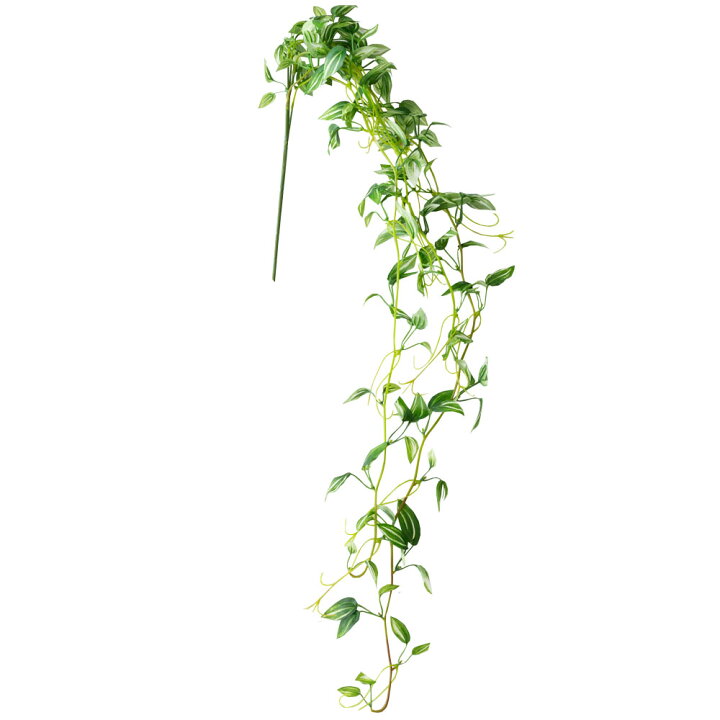 楽天市場 トラディスカンティア フェイクグリーン グリーン ツル性 造花 観葉植物 つる植物 長さ105cm フラワーアレンジメント インテリアグリーン お手入れ不要 ブーケ リアル おしゃれ 北欧 ボタニカル 生活雑貨のネットショップelements