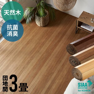 yő2000~N[|z RۉH VR y EbhJ[ybg cn 3p 175×245cm TU-90V[Y 1^Cv z} t[OtH[  DIY CN V[g t[O