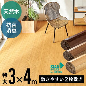 VR yʃEbhJ[ybg TCY 300×400cm TU-90V[Y 2^Cv z} RۉH Ebh t[O tH[  DIY CN V[g  ȒP ~ t[