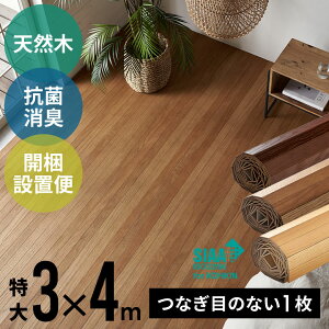 VR 傫ȃEbhJ[ybg  300×400cm TU-90V[Y EbhJ[ybg tH[   DIY CN V[g ȒP ~ t[OJ[ybg ؐ t[O}bg 7.5