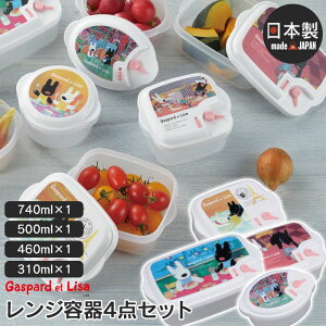 ylzWe 4_Zbg 310ml 460ml 500ml 740ml  ۑe V[e Ⓚ ① ۑ dqWΉ WpbN ٓ vX`bN { TƃKXp[ 킢 