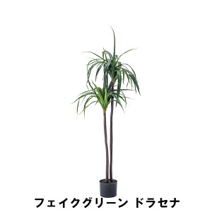 tFCNO[ hZi 43 s42 84cm  lHϗtA K[f K[fpi