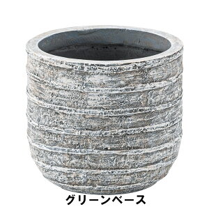 A O[x[X 25.5 s25.5 22cm K[f K[fpi Aؔ v^[