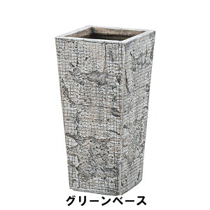 A O[x[X 24 s24 47cm K[f K[fpi Aؔ v^[