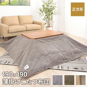 zc |zc ` 190×190cm p H t[X | ȃXy[X Vv 