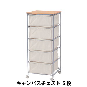 LoX`FXg 5i 43 s44 101.5cm [Ƌ rO[Ƌ `FXg