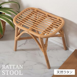 ^Xc[ 42 s30 36cm ^ Xc[ ^`FA ֎q  CX Pi 1l|  i` qp y | wȂ ىƋ CeA i  Lb`