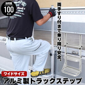 トラック 荷台 ステップ 昇降 台 トラックステッパー 手すり付き 手すり 両手すり 左右手すり 昇降台 ハシゴ トラックステップ ワイド トラック用はしご 2段 アルミ 軽量 荷台はしご ステップ 荷台昇降 義務化 対策 タラップ