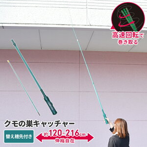 N̑Lb`[ d Lk 120`216cm ւt w偂̑N[i[ | w偂̑ 쏜 ΍ ̑  dr ]     ֗ObY