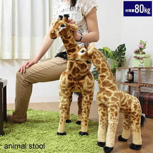 Aj} Xc[  ʂ ω׏d80kg  ֎q `FA |  rO 킢  IuWF u  v[g q ǂ   ₵ l q 