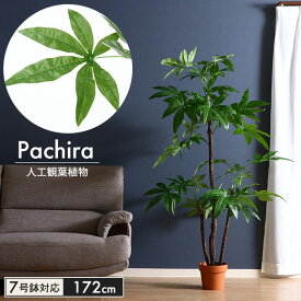 【楽天スーパーSALE10%OFF】在庫処分セール/観葉植物 人工 フェイクグリーン パキラ スタンダード 高さ 172cm 7号鉢対応 人工 造花 フェイク グリーン シンプル オフィス おしゃれ 観葉 植物 鉢植え インテリア 大型 高い 大きい 室内 鉢 お手入れ