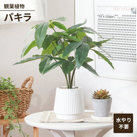 【値下げSALE】フェイクグリーン 観葉植物 人工観葉植物 パキラ セラミックポット 卓上 インテリアガーデン お手入れ不要 おしゃれ 人工植物