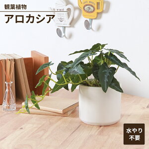 【値下げSALE】フェイクグリーン 観葉植物 人工観葉植物 アロカシア セラミックポット 卓上 インテリアガーデン お手入れ不要 おしゃれ