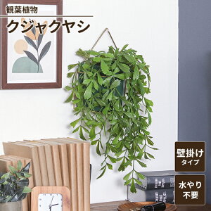 【値下げSALE】観葉植物 壁掛け 吊り下げ クジャクヤシ フェイクグリーン ハンギング 壁飾り 雑貨 インテリアガーデン お手入れ不要 おしゃれ