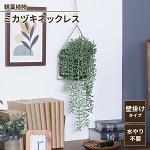 y|Cg5{ 11/21 10:00-12/05 09:59zylSALEzϗtA Ǌ| ݂艺 ~JdLlbNX tFCNO[ nMO Ǐ G CeAK[f sv