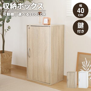 [I t ؐ [{bNX 39cm X [bN {I I t CeA [Ƌ Vv S