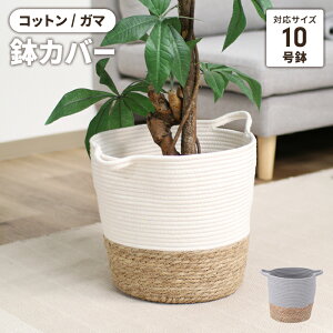 Jo[ Rbg K}  10Ή ϗtA AؔJo[ CeA i` G y  