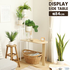 TChe[u fBXvCbN 84cm v^[X^h ؖڒV i` ϗtA ԑ u Ƒ I