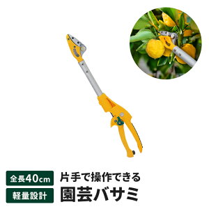 }؂oT~ 40cm }؂ ͂ Lb`@\ |nT~ \n ԊkE |