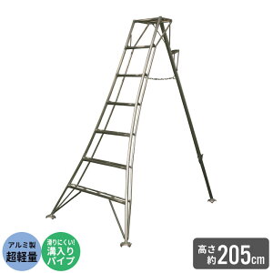 A~ y Or ͂ r 7/205cm |p |Or A~Or | ͂ q ܂肽 ܂ y A~  n Xebv Ɨp  n  _ 
