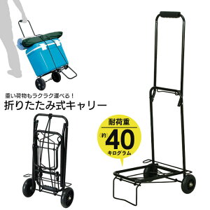 ylz܂肽 L[J[g X`[ RpNg 35 98 S[vt ω׏d40kg ^  ו ^ [ ԍ