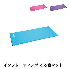 マット 2人用 長座布団 ごろ寝 昼寝 自動で膨らむ ブルー キャンプ 幅55 長さ120 厚さ2.5 テント レジャーシート 収納袋付き