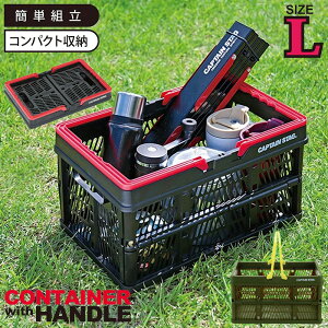 yyVX[p[SALE10%OFFzylz oXPbg Rei ܂肽 RpNg 45 s31.5 25.5 JS t [  c[{bNX ԍڗp