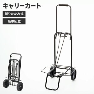 ylzJ[g ܂肽  2 L[  36 s44 92.5 ω׏d40kg R[ht ^ ֗ ԍڗp  ^