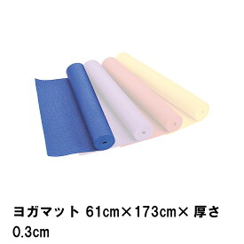 【ポイント5倍 05/23 12:00-06/05 09:59】ヨガマット 61cm×173cm×厚さ0.3cm