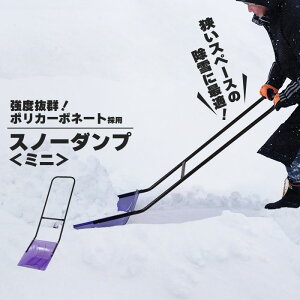 ダンプ 雪かき シャベル スコップ 除雪用品 融雪剤の人気商品 通販 価格比較 価格 Com