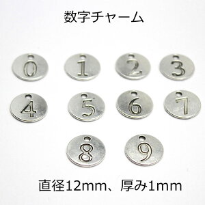 `[ Fy10pbNzsgy-1517-10p (~` ی^ ~T[N Eh `[  io[ | ޗ p[c nhCh ޗ L[z_[ uXbglbNX Vo[ J