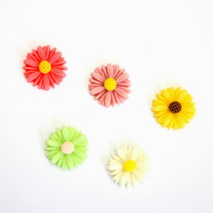 yF 20pbNzЂ܂t[ J{V [vX`bN a1.25cm] S5^Cv sgy-447_20pack ( |pp[c p[c nhCh ޗ f t[ ͂   fR fRp[c q