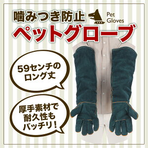 yz ybgO[u ݂ ݂h~    L O[u  ^ v   L ϔM ϋv h~ | Lv Ck lR ی ঒ v ybgpO