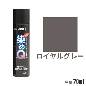 染めQ エアゾール ロイヤルグレー 70ml