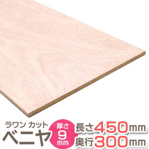  Jbgxj T2 450mm s300mm 9mm