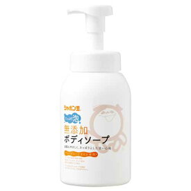 シャボン玉 無添加ボディソープ たっぷり泡 本体 570mL 泡タイプ 石けん 無添加 手洗い 泡 石鹸 安心 シャボン玉石けん しゃぼん 赤ちゃん あかちゃん 幼児 子供