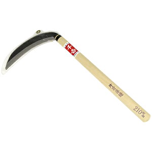 g  210mm Y |pi      ނ ̂ mRM J}  G    G΍ K[fjO   | 