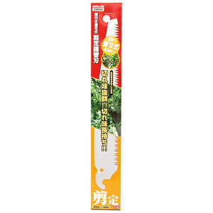g t֐n苘 240 SGPS-16p ֐n Y |pi  Ă }؂ }ł mRM ̂   A K[f K[fjO   ы R c[ pi p 