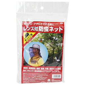 ZteB-3 Ythlbg Lbvp SB-3 Y |pi h EFA nbg Xq bV h앞     u u ug Au  Lv ނ AEghA | K[fjO